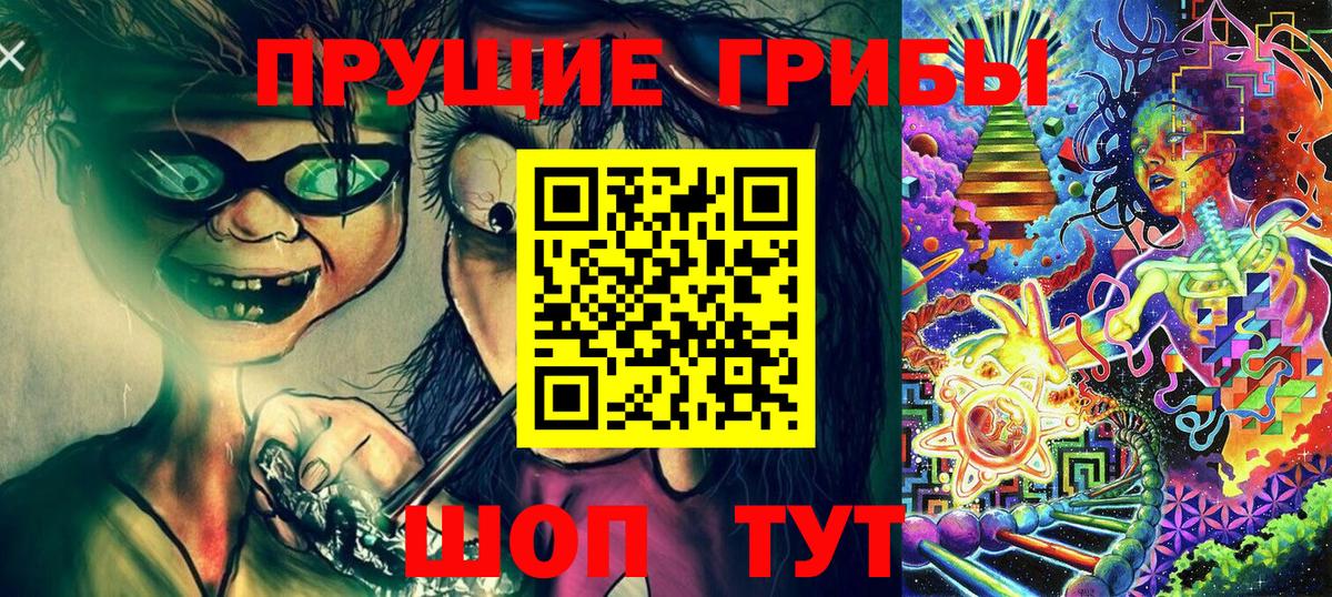 Галлюциногенные грибы мухоморы  Псилоцибиновые грибы GOLDEN TEACHER  магазин продажи   Вход с VPN  Кемерово 