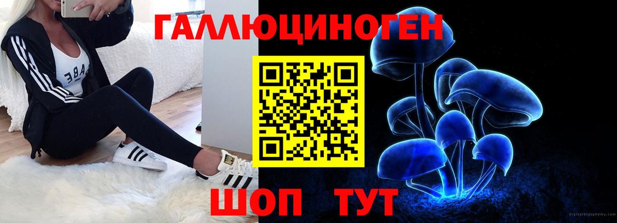 Псилоцибиновые грибы Psilocybine cubensis Кемерово